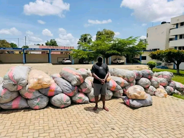 POLICE ARREST THREE SUSPECTS FOR UNLAWFUL POSSESSION OF NARCOTICS at ODUMASE-KROBO AND FOIL GH¢100,000 BRIBERY ATTEMPT