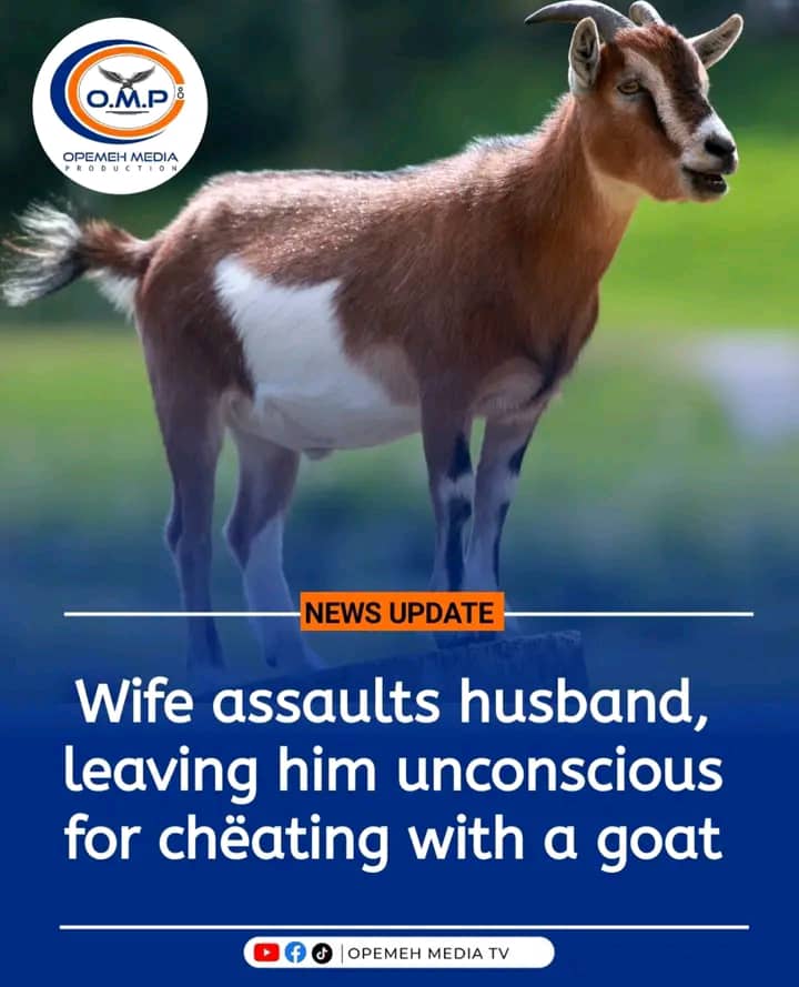 Wife assault husband leaving him unconcious for cheating with goat