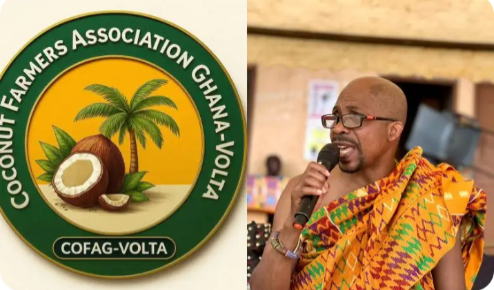 Volta Coconut Farmers Cry Out Over Delay in Seedling Supply