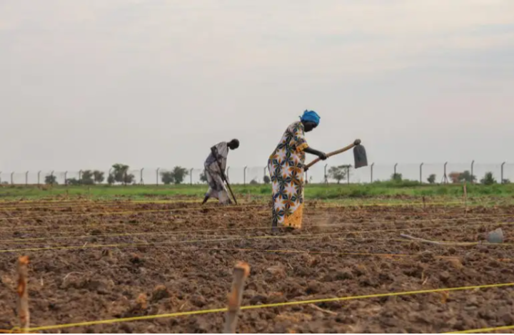 FAO and WFP warn of worsening hunger crisis in 13 global hotspots