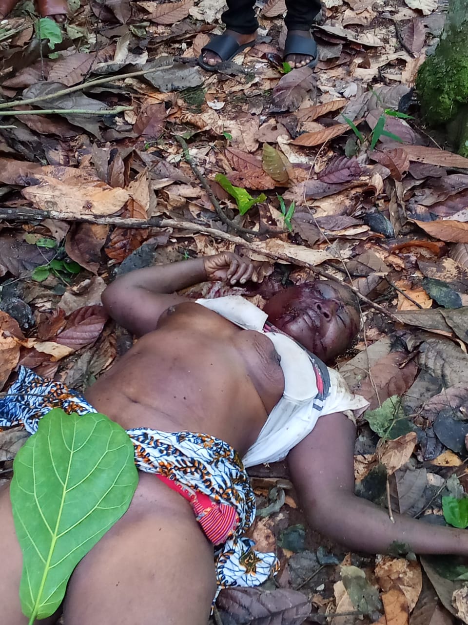70-Year-Old Woman Found Murdered On Way To Church In Eastern Region, Body Parts Allegedly Removed