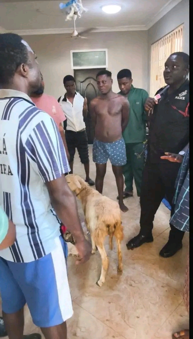 SUSPECTED THIEF ARRESTED BY DZOGADZE YOUTH, HANDED OVER TO ABOR POLICE
