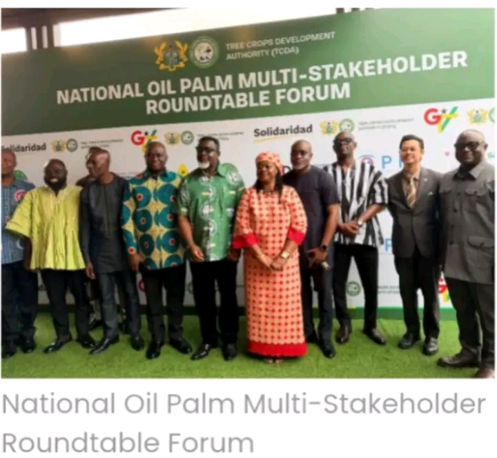 GOVERNMENT TO CULTIVATE 100,000 HECTARES OF NEW OIL PALM PLANTATIONS TO BOOST JOBS AND CUT $200M IMPORT BILL