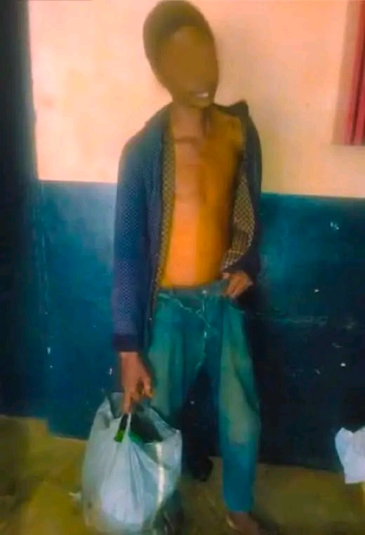 35-YEAR-OLD MAN JAILED 4 WEEKS FOR STEALING PLANTATIN WORTH GH¢200