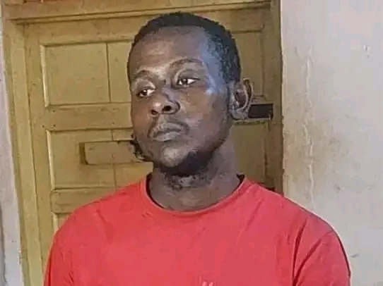 Amplifier Thief Gets Two Years Imprisonment