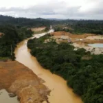 Policy Failure Fuels Mining Takeover Of Farmlands As Food Security Risk Deepens