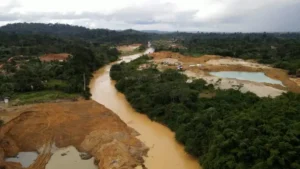 Policy Failure Fuels Mining Takeover Of Farmlands As Food Security Risk Deepens