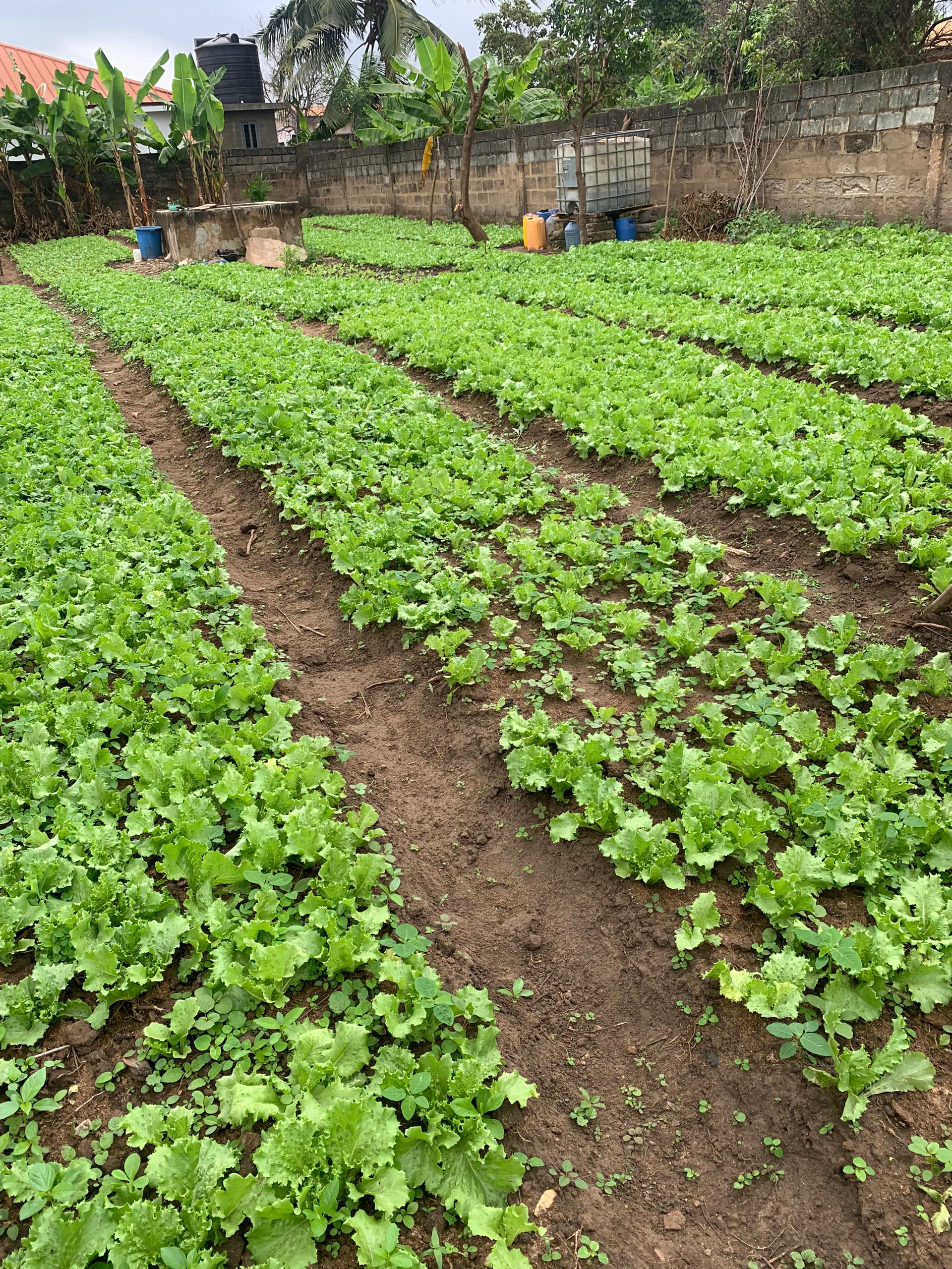 Teachers Warned Against Using Pupils For Farming, Domestic Work During School Hours