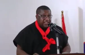 NPP Announces Nationwide Demonstration on August 6 Over “Threats to Democracy and Rule of Law”