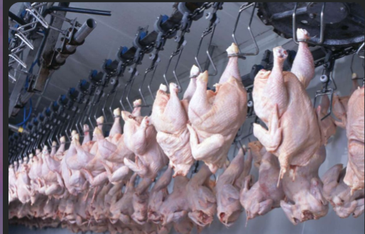 Ghana Secures $270M Investment to Produce 50,000 Tonnes of Local Chicken Annually