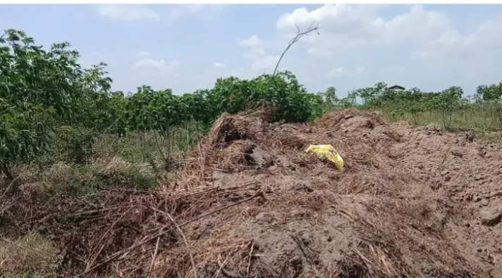 Over 50 Acres Of Farmland Destroyed By Sand-Winning At Tsumkpo